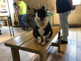IMG_9854(1)