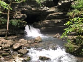 IMG_1198(1)