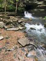IMG_1200(1)